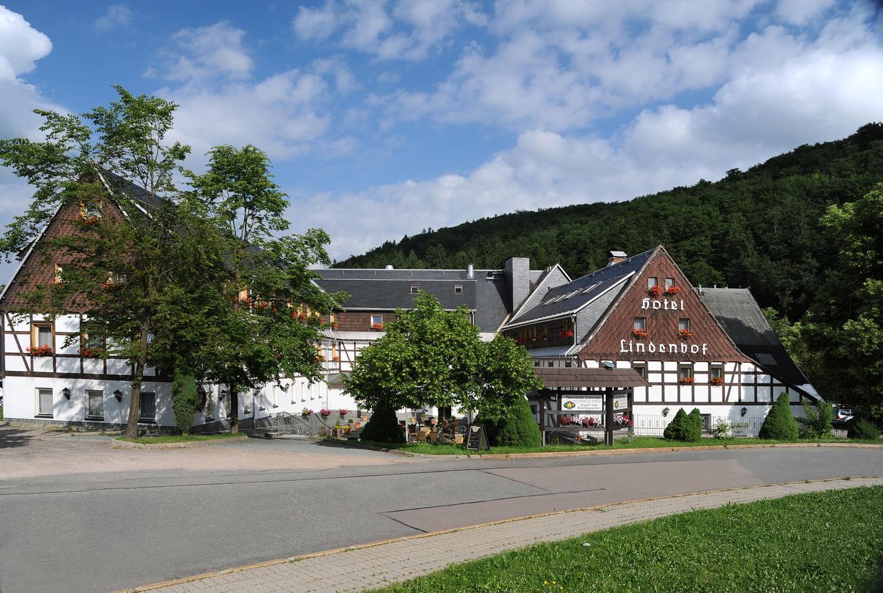 Naturhotel Lindenhof Rechenberg-Bienenmühle Εξωτερικό φωτογραφία